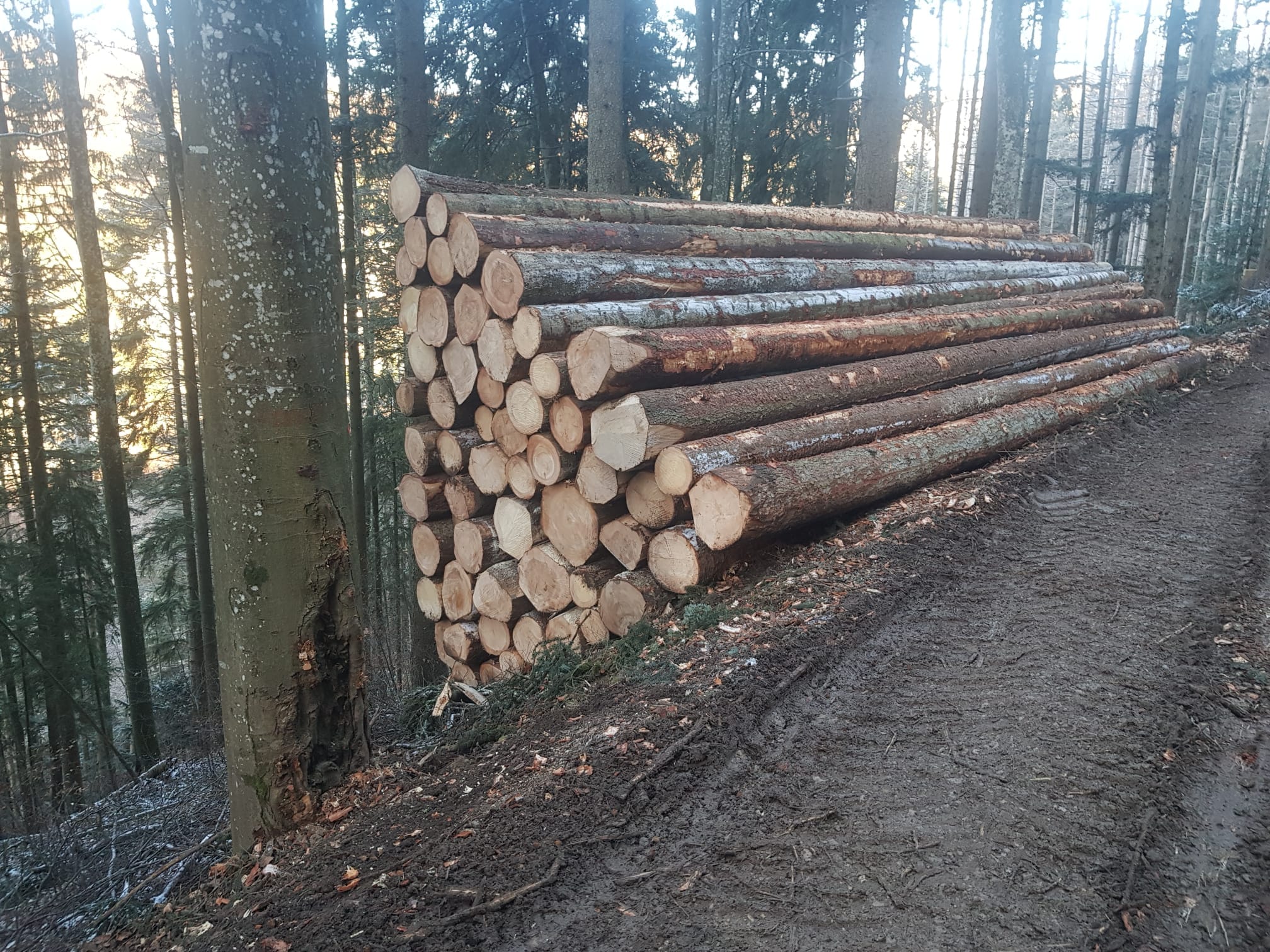 481971788_9260564450694687_8143175060287079606_n